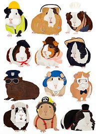 Cute Guinea Pigs in Professional Costumes by Resin Std