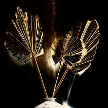 Stilleven gouden gedroogde palmboom bladeren