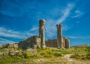 Die Ruinen von Volubilis in Marokko