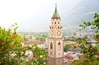 Meran in Südtirol von Jan Schuler Miniaturansicht