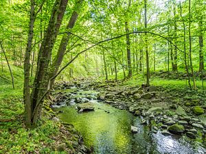 Printemps au bord d'un ruisseau dans une forêt de feuillus verte III sur Jörg B. Schubert