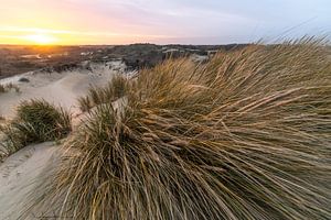 Dutch dunes sur Dirk van Egmond