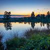 Beauty of Nature by Johan Mooibroek