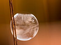 Souffler des bulles avec du givre