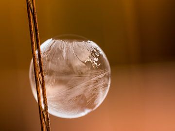 Bubble blowing with frost by Marjo Kusters