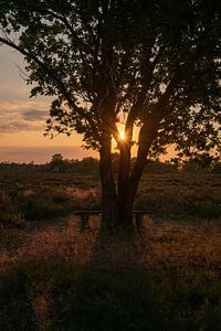 Sunset on the Ermelose moors