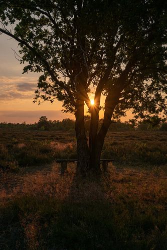 Zonsondergang op de Ermelose heide