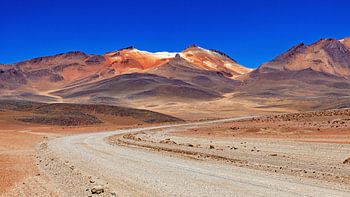 De Altiplano in Bolivia