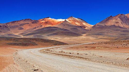 De Altiplano in Bolivia