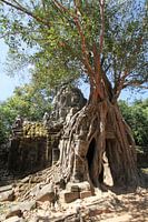 Ta Som Tempel in Angkor