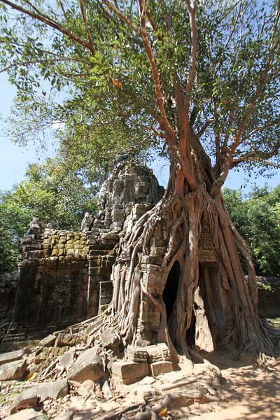 Ta Som Tempel in Angkor by Levent Weber