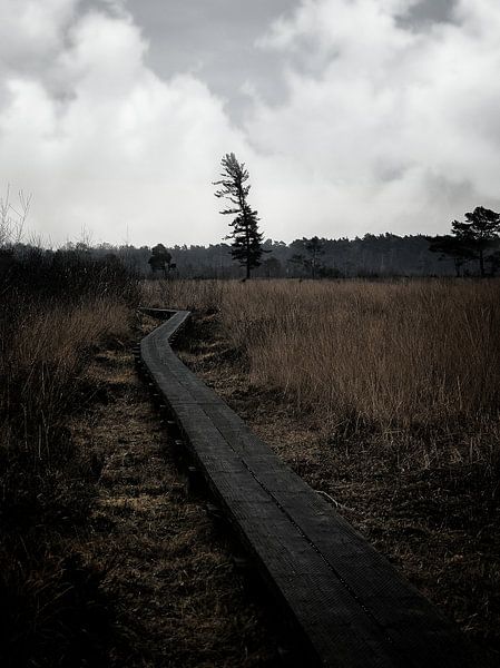 Wooldse peat I by Marvin Van Haasen
