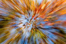 Explosion de Bose sur Patty Elferink