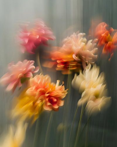 Blurred Flower Colours