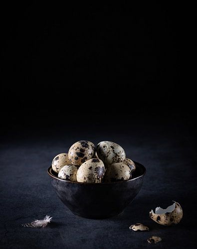 Nature morte, œufs de caille (Coturnix coturnix)