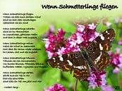 When butterflies fly by Norbert Hergl thumbnail
