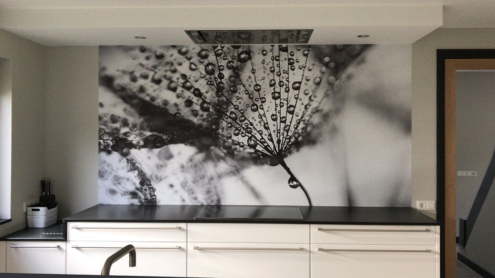 Dandelion blackandwhite  by Julia Delgado 