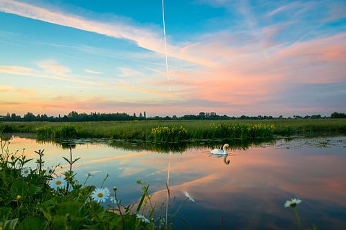 Ciel rose du soir sur le paysage des polders