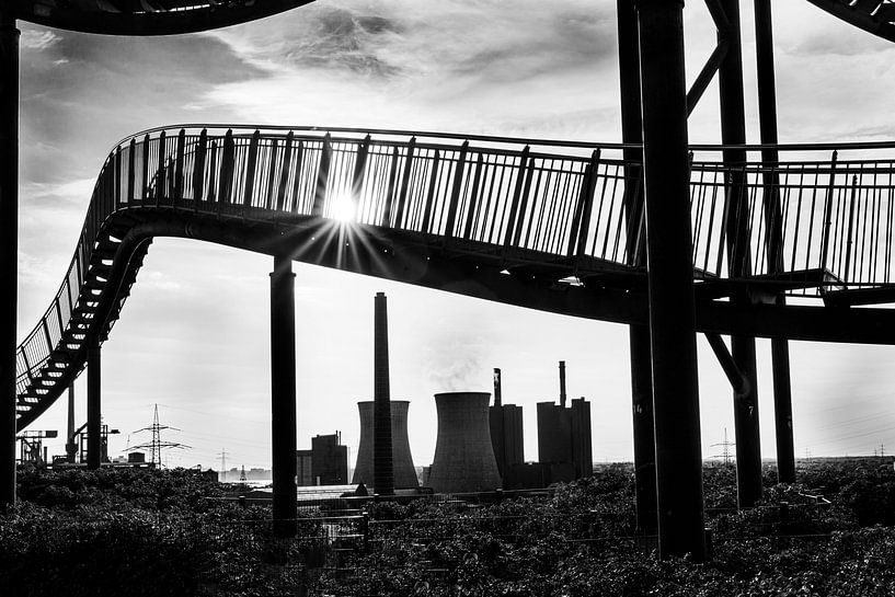 Tiger &amp; Turtle against the light | Duisburg by Flatfield