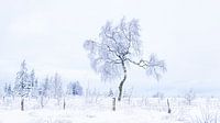 Winterlandschaft von Hans Dikken Miniaturansicht