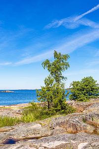 Ostseeküste mit Felsen und Bäumen auf der Insel Sladö in Schw