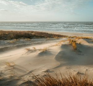 Duin, strand en leven aan zee van Dirk van Egmond