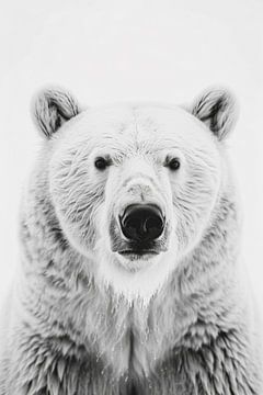 Bear by Poster Art Shop