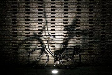 Utrecht Fahrradstadt von Jan van der Knaap