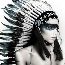 Native American Woman van David Potter