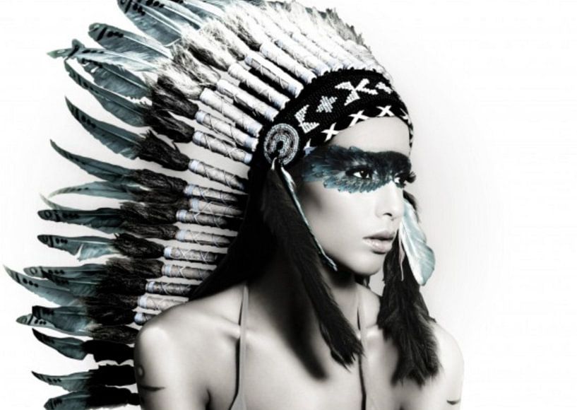 Native American Woman van David Potter
