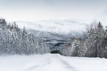 Besneeuwde weg in Noorwegen van KC Photography