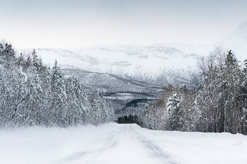 Besneeuwde weg in Noorwegen van KC Photography