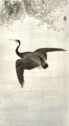 Ohara Koson – Aalscholver in vlucht (1900–1930) | Antieke Japanse houtsnede