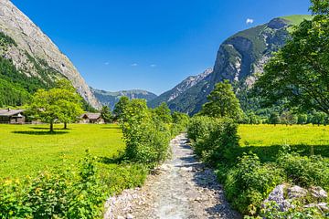 De Große Ahornboden in het Rißtal bij de Eng Alm in Oostenrijk van Rico Ködder