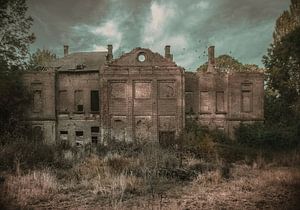 Ruines van het raven kasteel van Olivier Photography