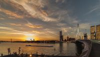 Good morning Rotterdam