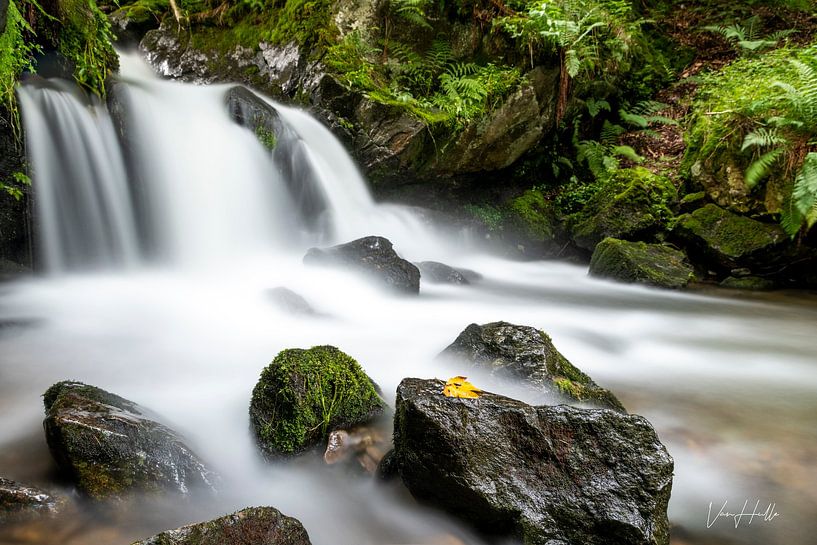 Die letzten Herbstblätter am Wasserfall von lukas van hulle