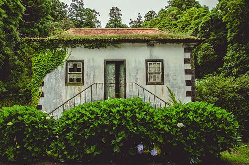 abandoned building in the Azores