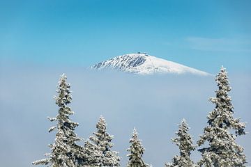 Winter with snow in the Giant Mountains sur Rico Ködder