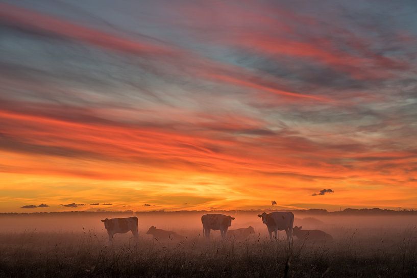 Morgenrot von Melvin Jonker