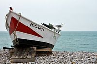Bateau en bois avec mouette