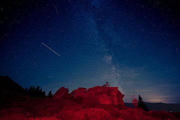 Melkweg en sterrenhemel boven Beierse Woud van Robert Ruidl