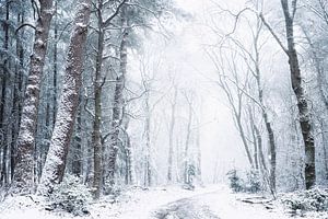 L'hiver arrive