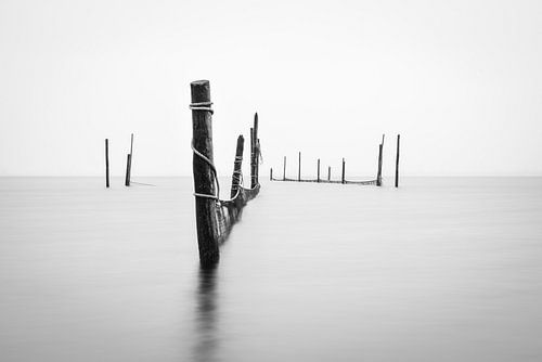 fishing nets in the Wolderwijd Zeewolde