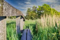 Niederländische Landschaft von WeVaFotografie Miniaturansicht