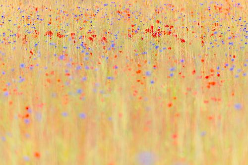 Convention sur les fleurs