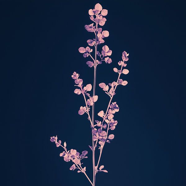 Ein botanischer Traum im Vintage-Stil von Liv ter Riet