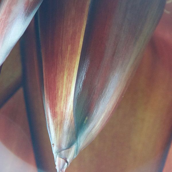 potential by frederike simons
