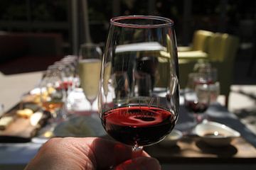 Wijnproeven bij van Loveren Zuid-Afrika van Jan Roodzand