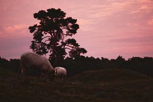 Zonsondergang na een stormachtige dag van Steven Marinus